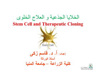 الخلايا الجذعية و العلاج الخلوى.ppt